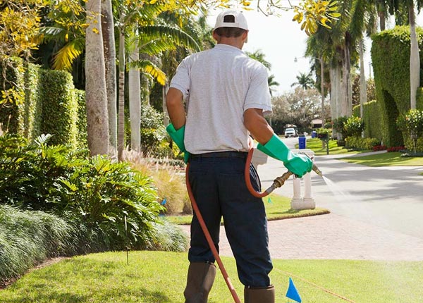 About Joint Base Mdl NJ Pest Control Pros